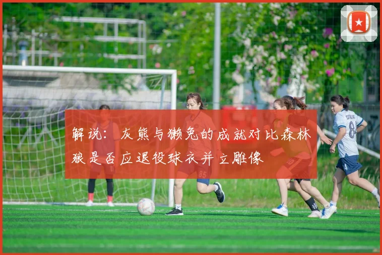 解说：灰熊与獭兔的成就对比森林狼是否应退役球衣并立雕像