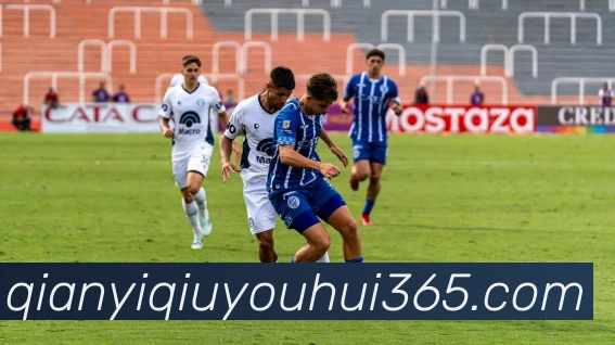 多媒体互动体验